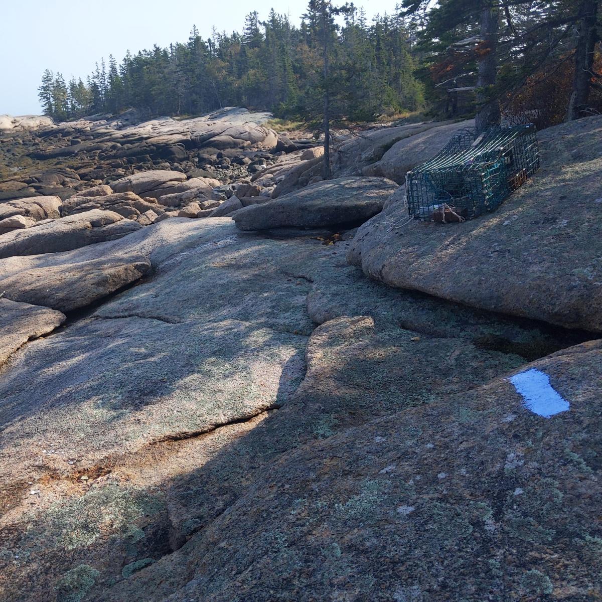 A rocky coastal trail