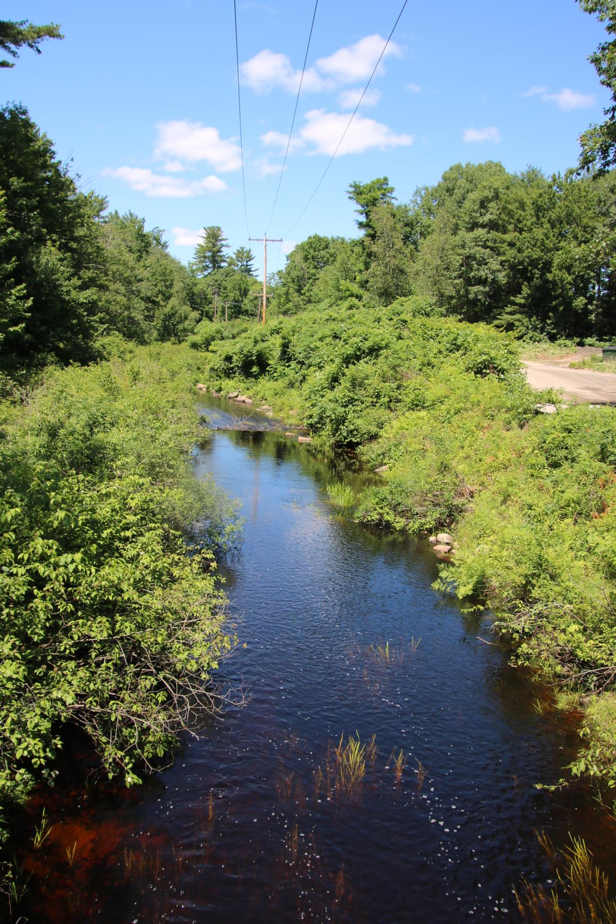 A view of Willet Brook.