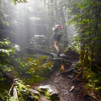 Ilse hiking Old Speck in Grafton Notch State Park. Photo: Ilse Dunbar.