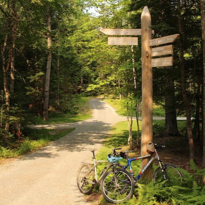 two bikes are leaning against a sign post next to a gravel surface trail