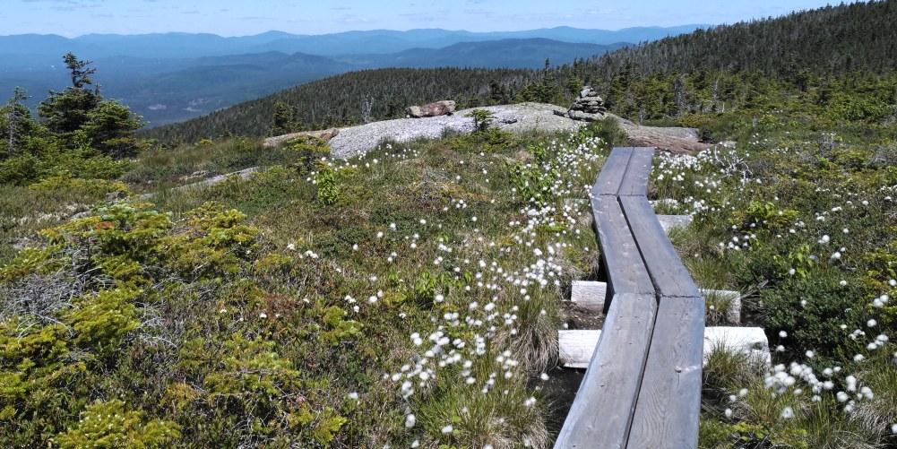 Mahoosuc Trail in late spring