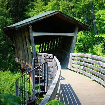 Bridge in Pondicherry Park, Bridgton. Photo: Gary Jansen.