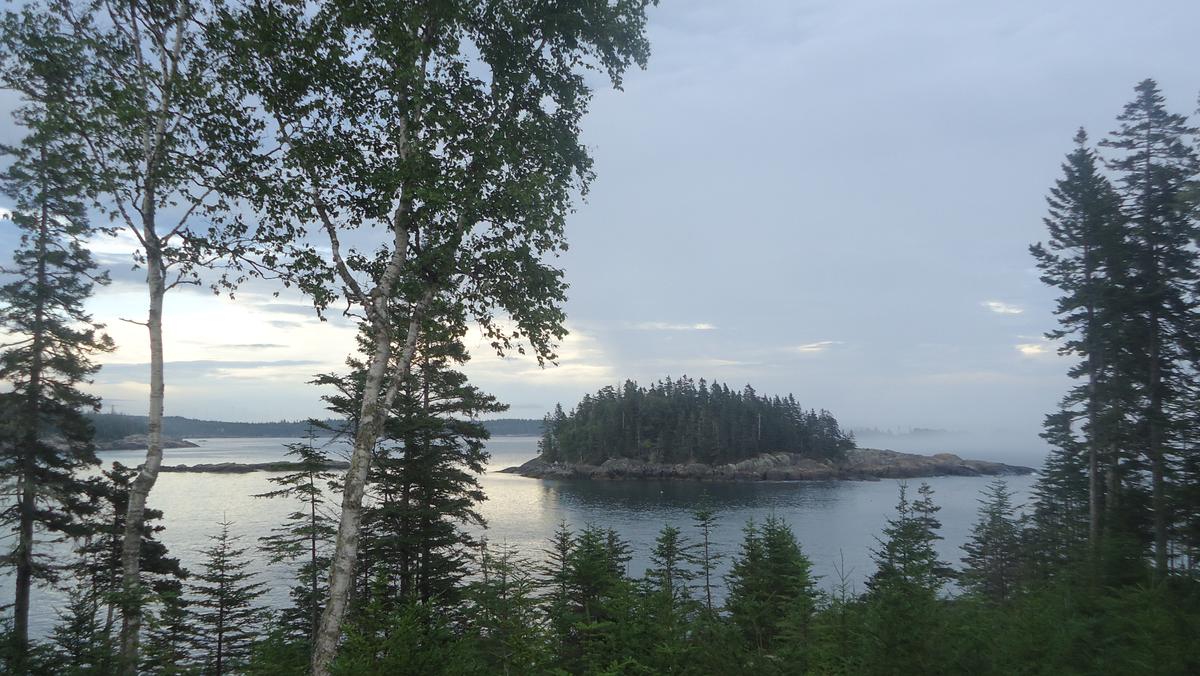 Rocks and water, spruce trees and mist: the Maine coast in summer. Roque Bluffs.