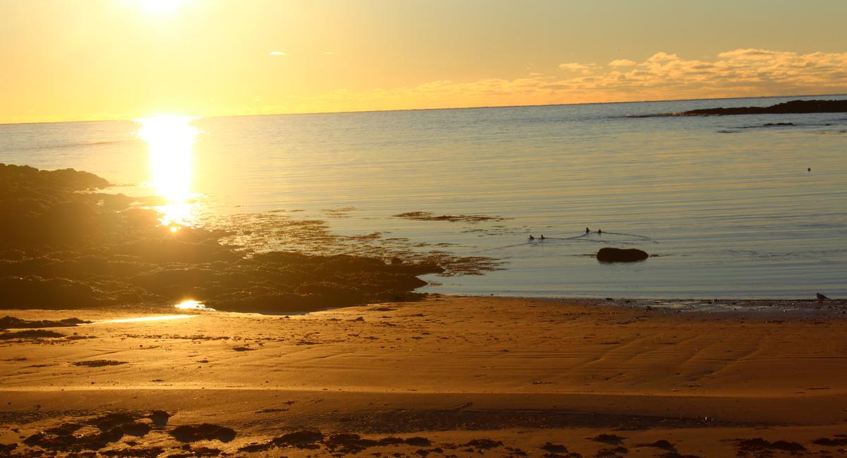 Timber Point, Biddeford. Photo: Gary Jansen.