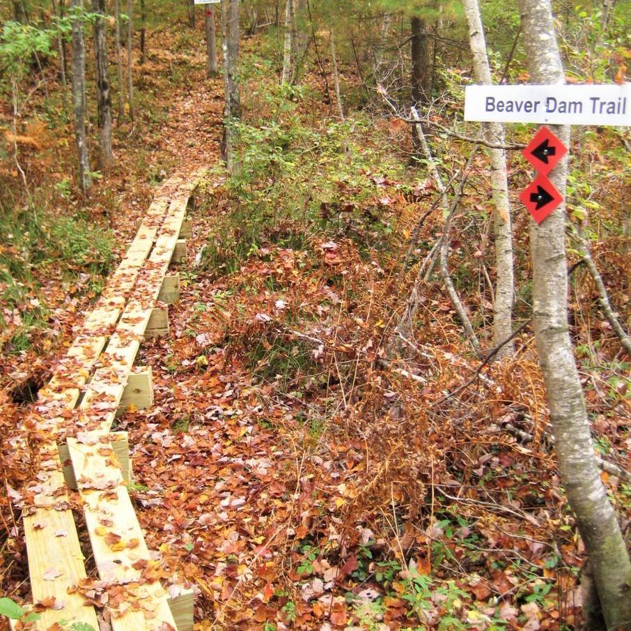 A long section of narrow bog bridges