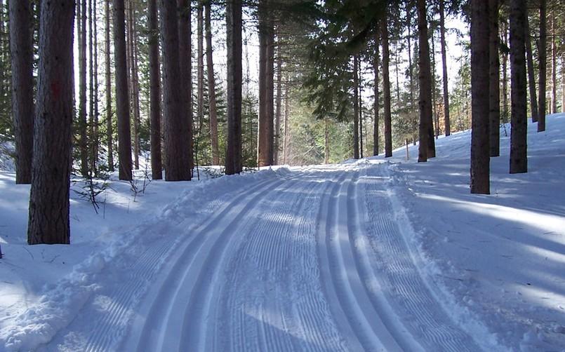 Photo credit: Aroostook State Park