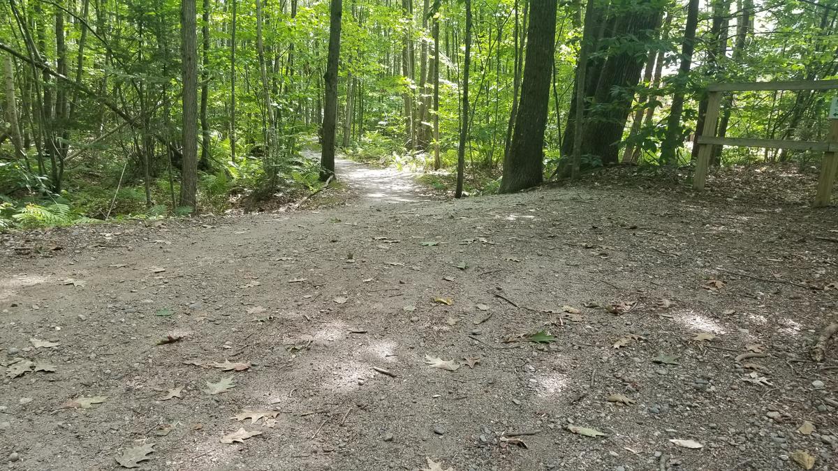 Downhill curve before the road crossing.