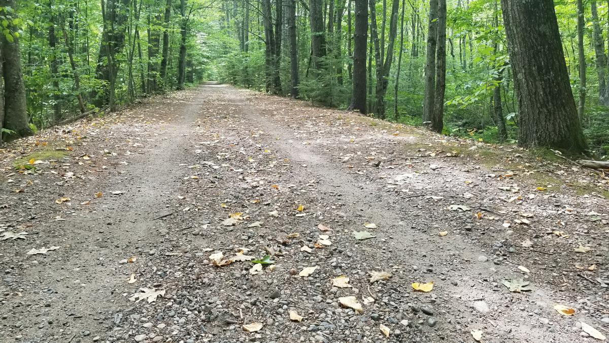 Trail surface along the railroad bed.