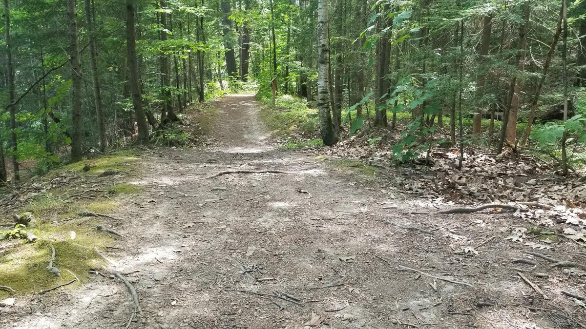 Terrain on the tow path.