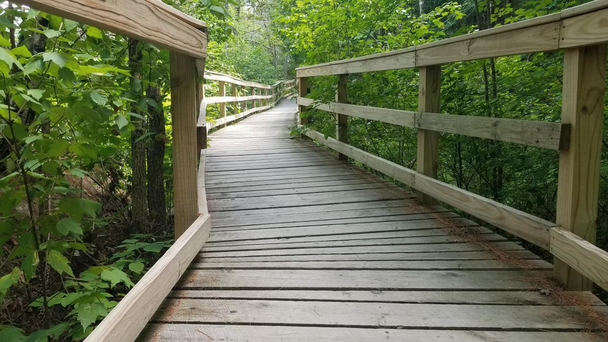 Long bridge on the trail.