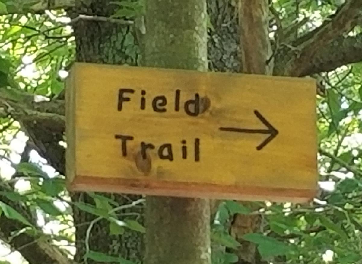 Sign for the Field Trail to the right.