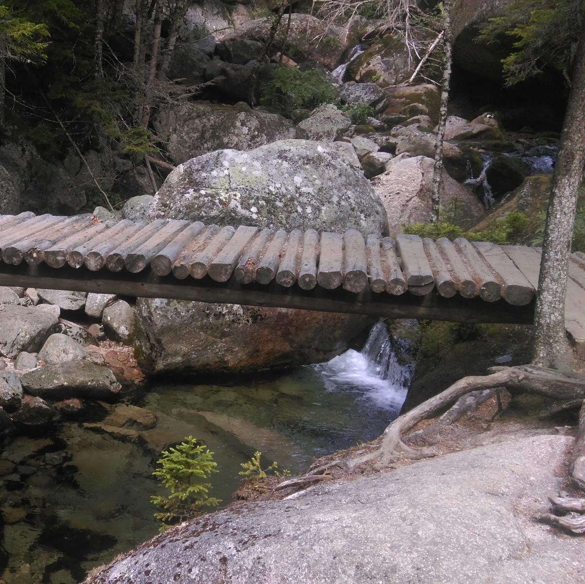 A bridge made of small diameter logs crosses a stream