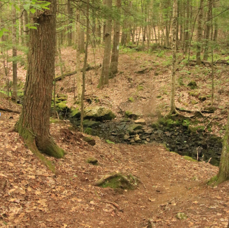 The brook with a steep approach and rocks and mud at the crossing.