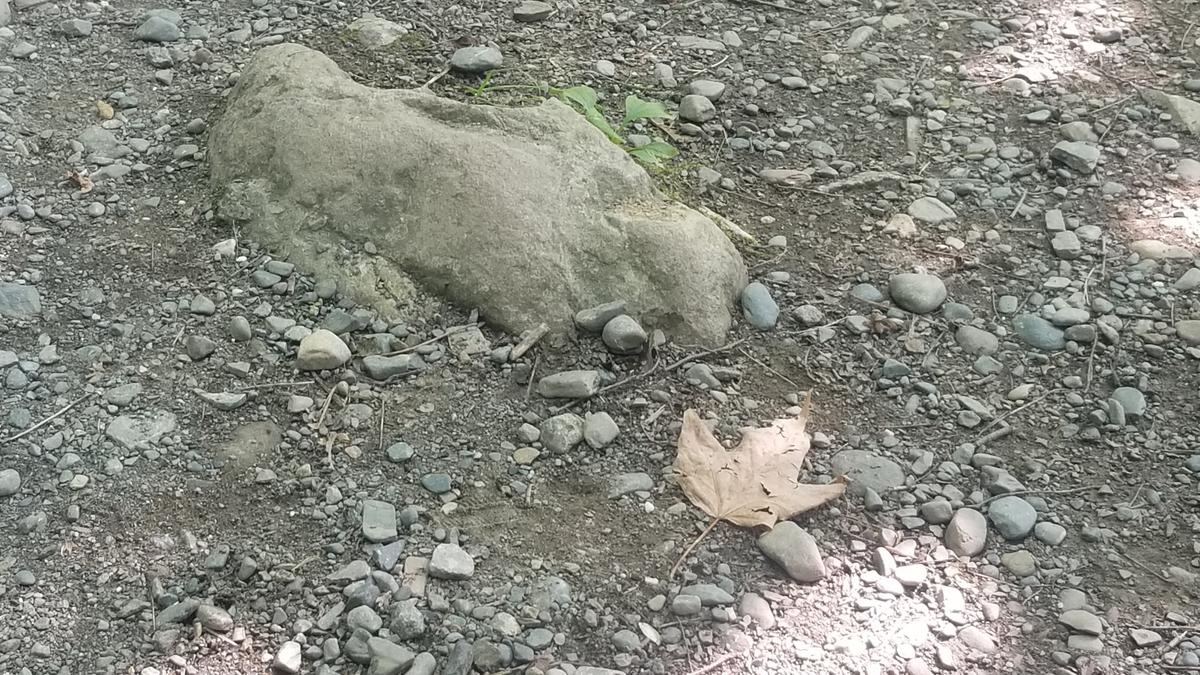 Example of a rock protruding from the trail surface,