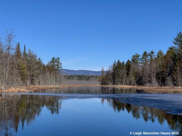 Virtual Hike: Long Meadow Brook Reserve