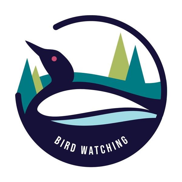 AMC Maine Woods Birding Festival