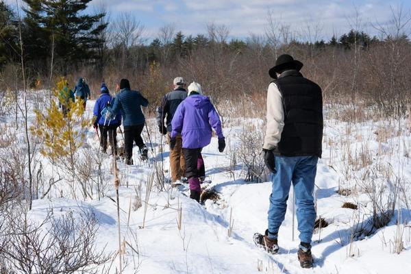 Explore the Tuckahoe Preserve with Great Works Regional Land Trust