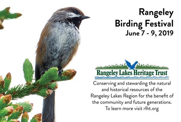 Rangeley Birding Festival