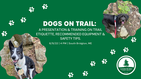 Dog Trail Etiquette Workshop