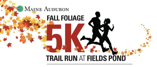 Fall Foliage 5K Trail Run 2024 at Fields Pond