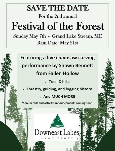 Festival of the Forest