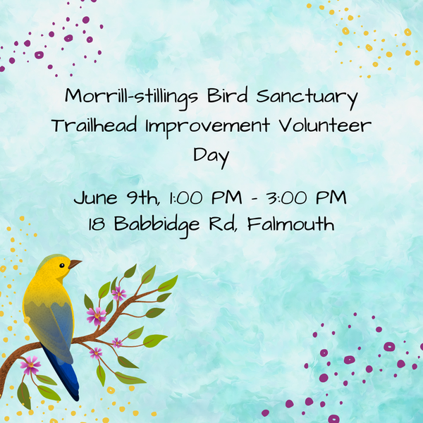 Trailhead Improvements: Morril-Stillings Bird Sanctuary