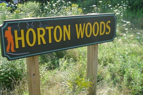 Horton Woods Work/Walk Party