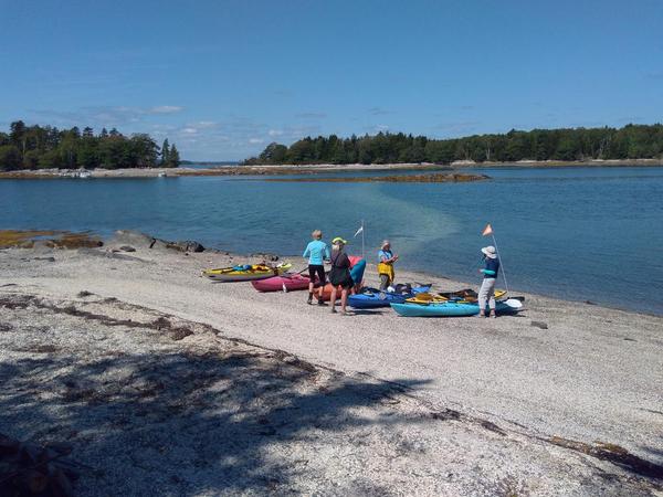 Sea Kayaking Casco Bay - The Goslings and More