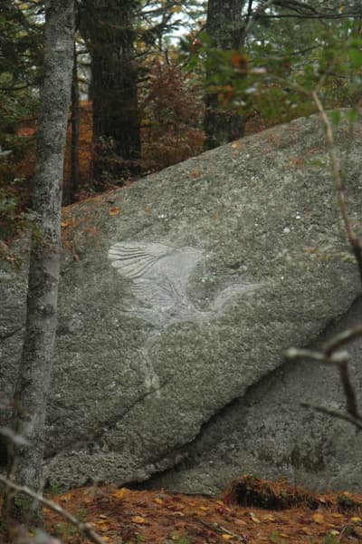 Contemporary Petroglyph (Rock Carving) Tour Led by Artist