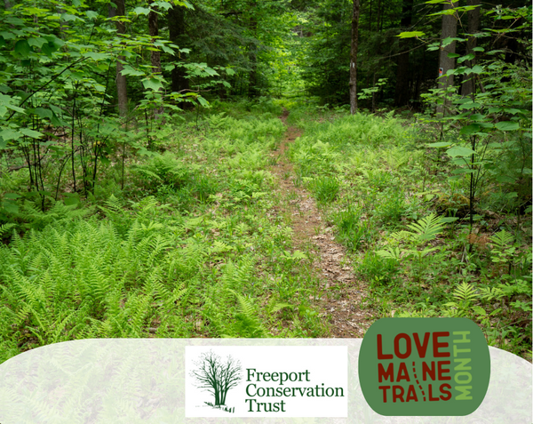 Monthly Trail Stewardship / Trail Work Party