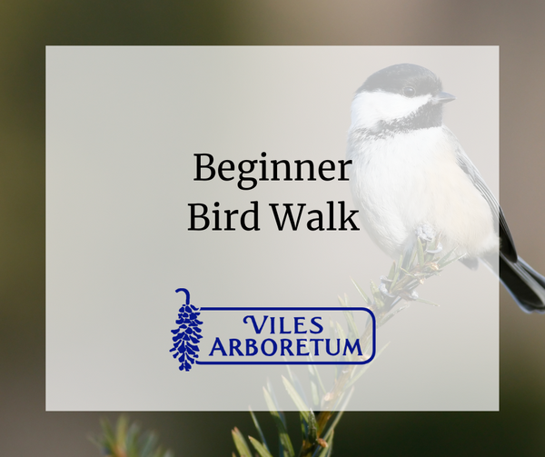 Beginner Bird Walk at Viles Arboretum