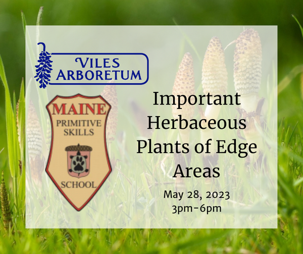 Important Herbaceous Plants of Edge Areas