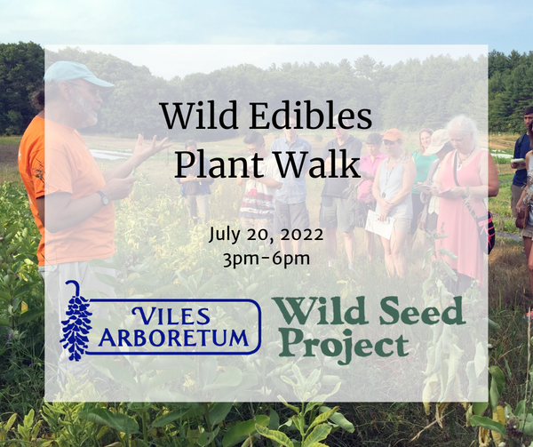 Wild Edibles Plant Walk