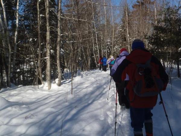 Round Top Mountain Hike or Snowshoe