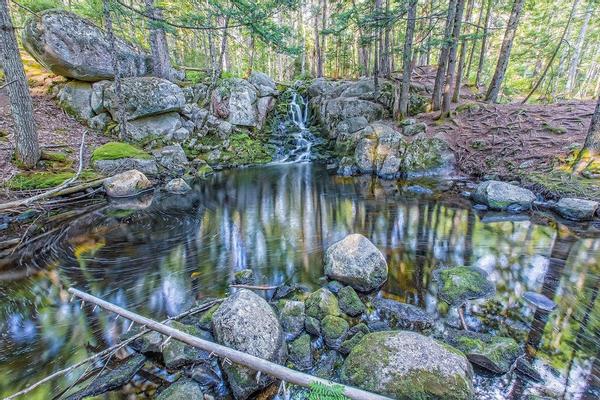 Story of Place: Peters Brook & Penny's Preserve