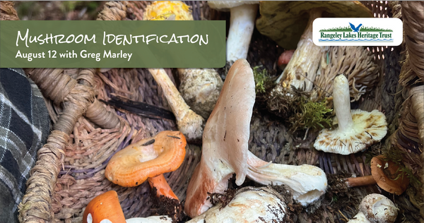 New England Mushroom Identification w/ Greg Marley