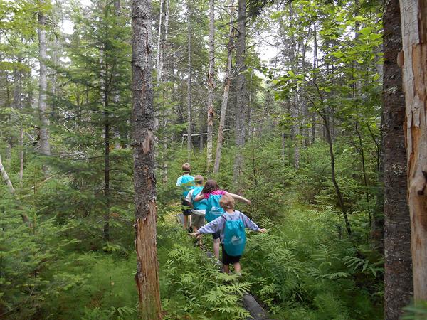 Birding the Woods and Waters of Lamoine