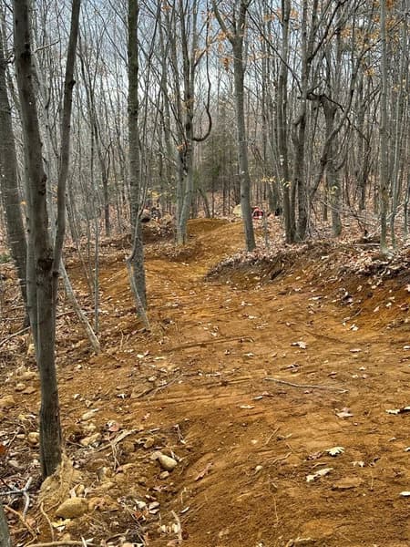 Opening Day Celebration: MTB Trail Work and Ride at the Bethel Community Forest