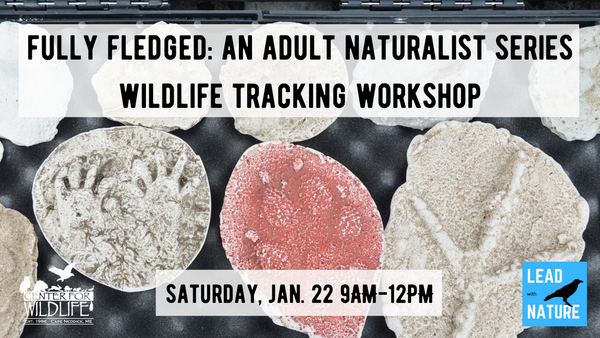 Center for Wildlife Guided Wildlife Tracking Workshop
