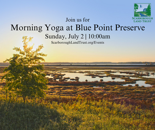 Morning Yoga at Blue Point Preserve