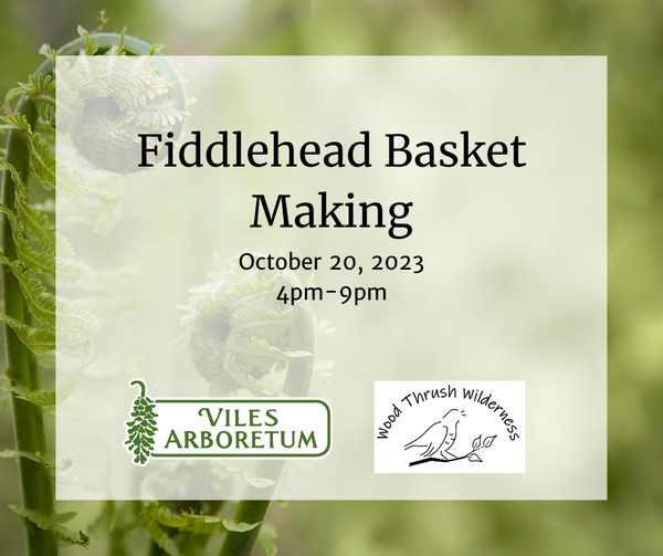 Fiddlehead Basket Making