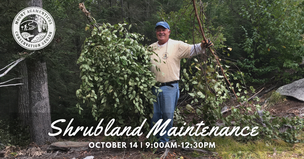 Volunteer Community Workday at Mount Agamenticus: Shrubland Maintenance