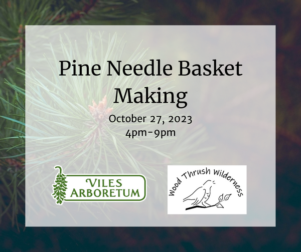 Pine Needle Basket Making