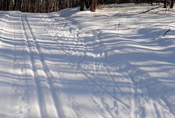 New Year's Resolution Ski & Snowshoe