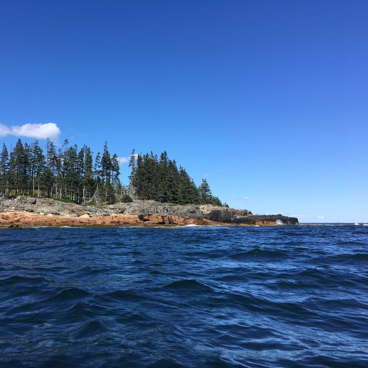 Mid-sized waves crash on a rocky peninsula.