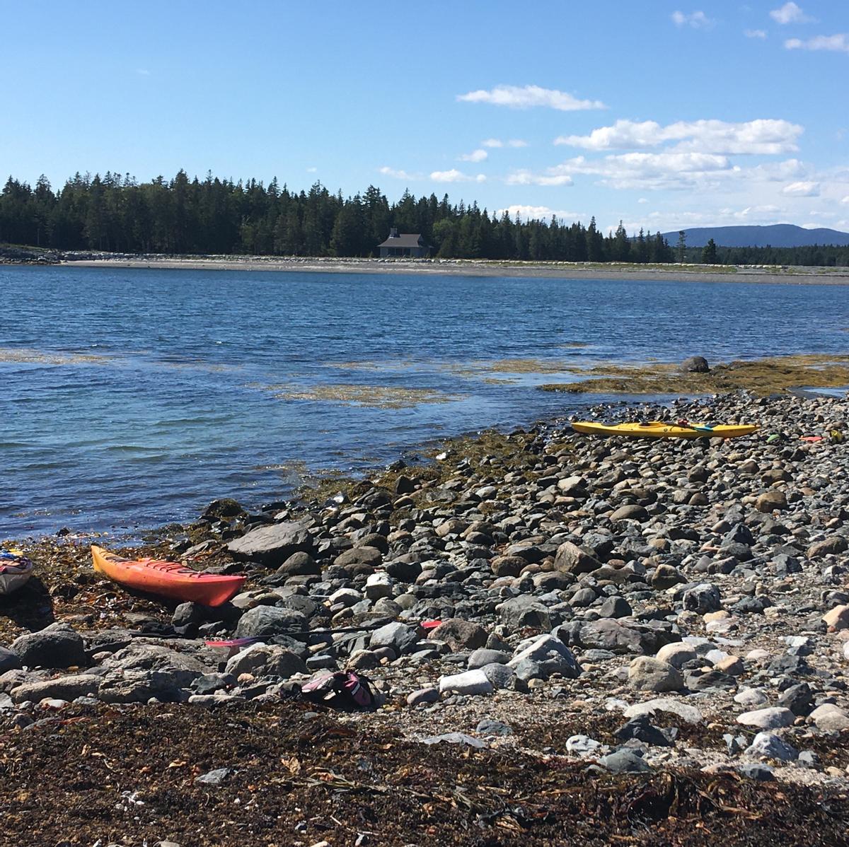 Two kayaks are pulled up on a rocky beach.