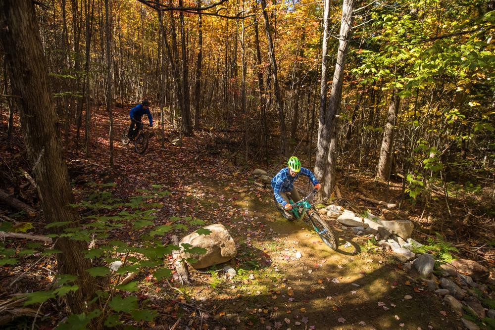 Mountain biking at Freeman Ridge Bike Park in Kingfield. Photo credit: Jamie Walters