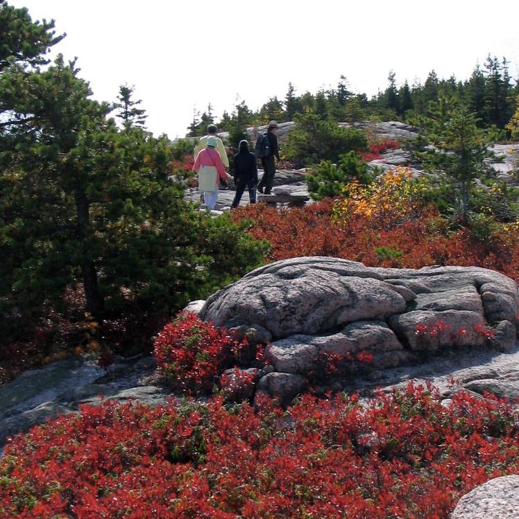 A rocky trail