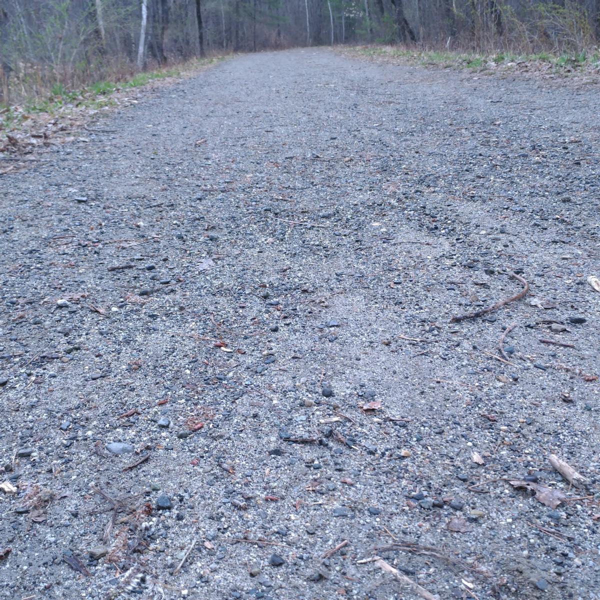 A variety of sizes of rocks makes up the surface of a gravel trail