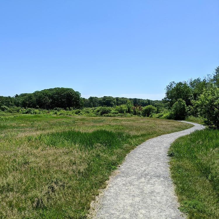 A crushed stone trail travels through a field of grass